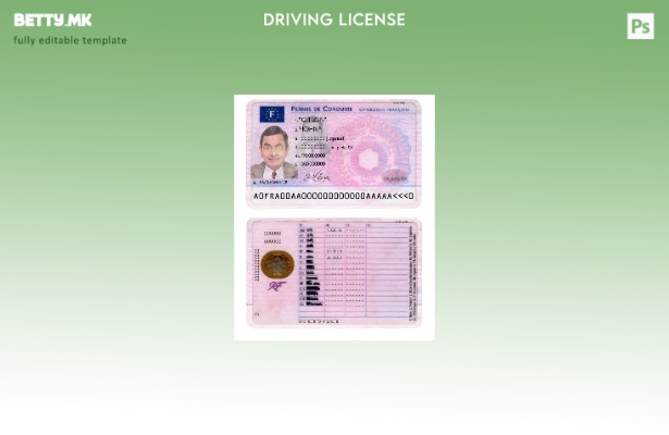 Шаблон за возачка дозвола од Франција во модерен стил